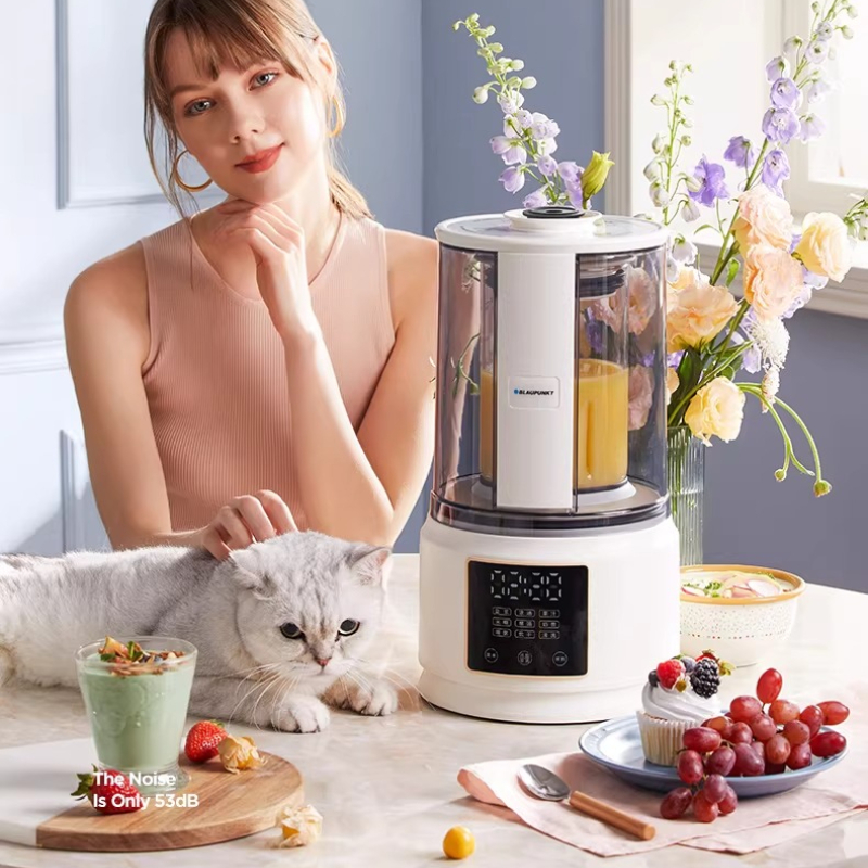 Blaupunkt New Quiet Wall Break - đánh giá và giá Baby Food Home
